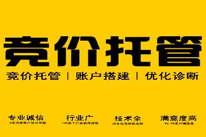 精准投放，高效转化——SEM竞价优化案例集